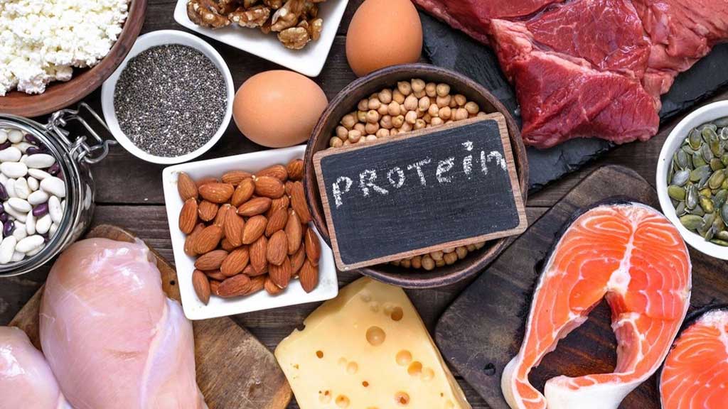 protein